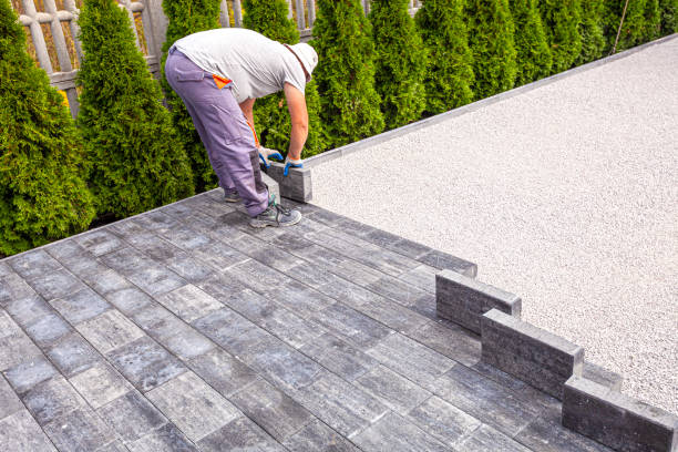 Best Driveway Pavers Near Me  in Terryville, CT
